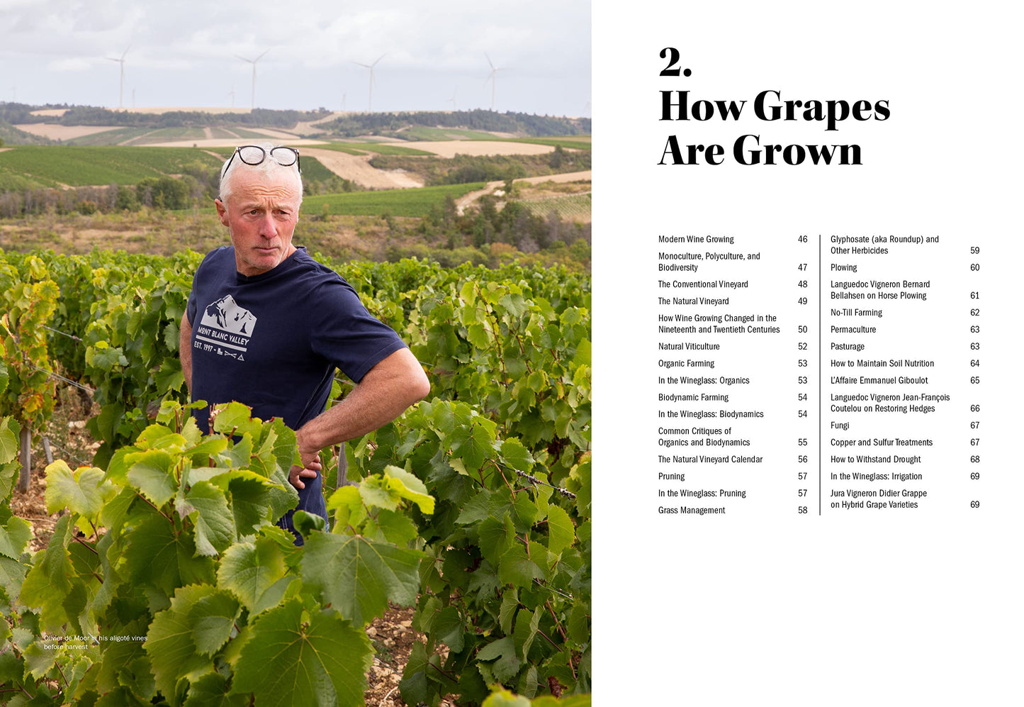 World of Natural Wine