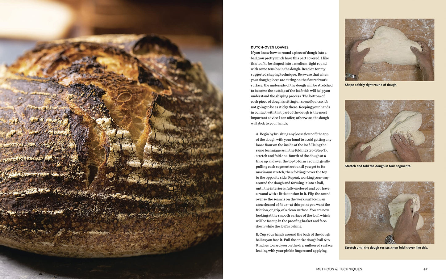 Evolutions in Bread