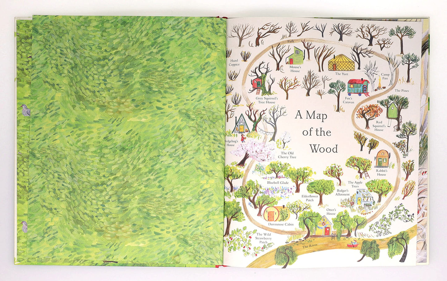 Mouse's Wood: A Year in Nature – Alice Melvin