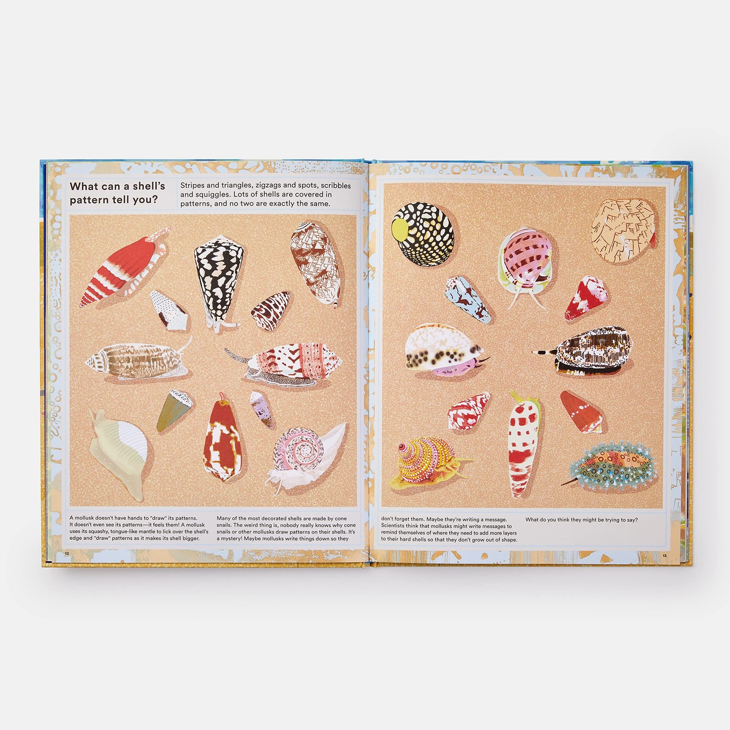 What A Shell Can Tell – Helen Scales