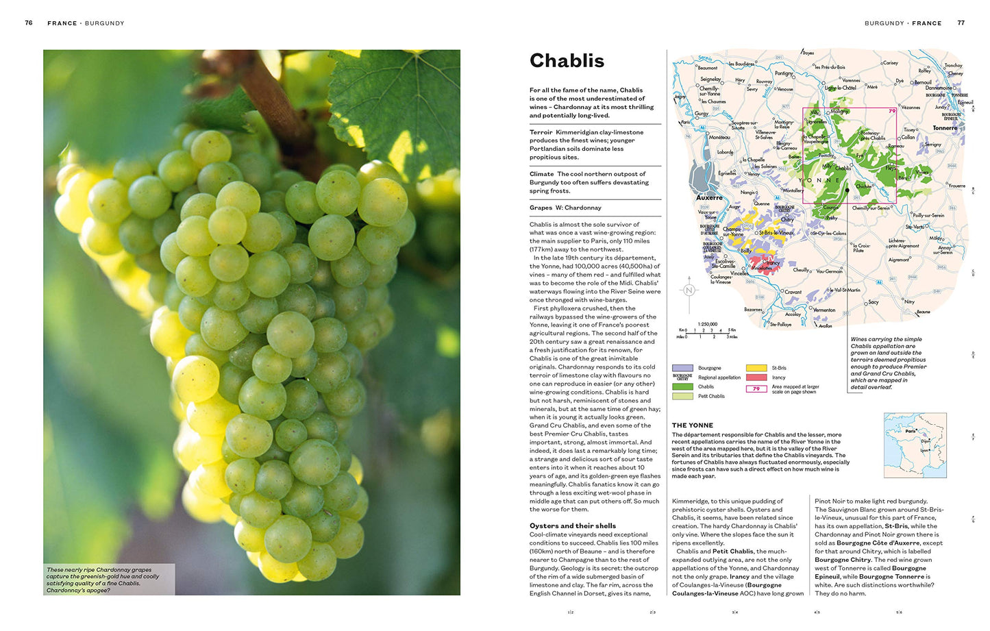 World Atlas of Wine 8th Edition