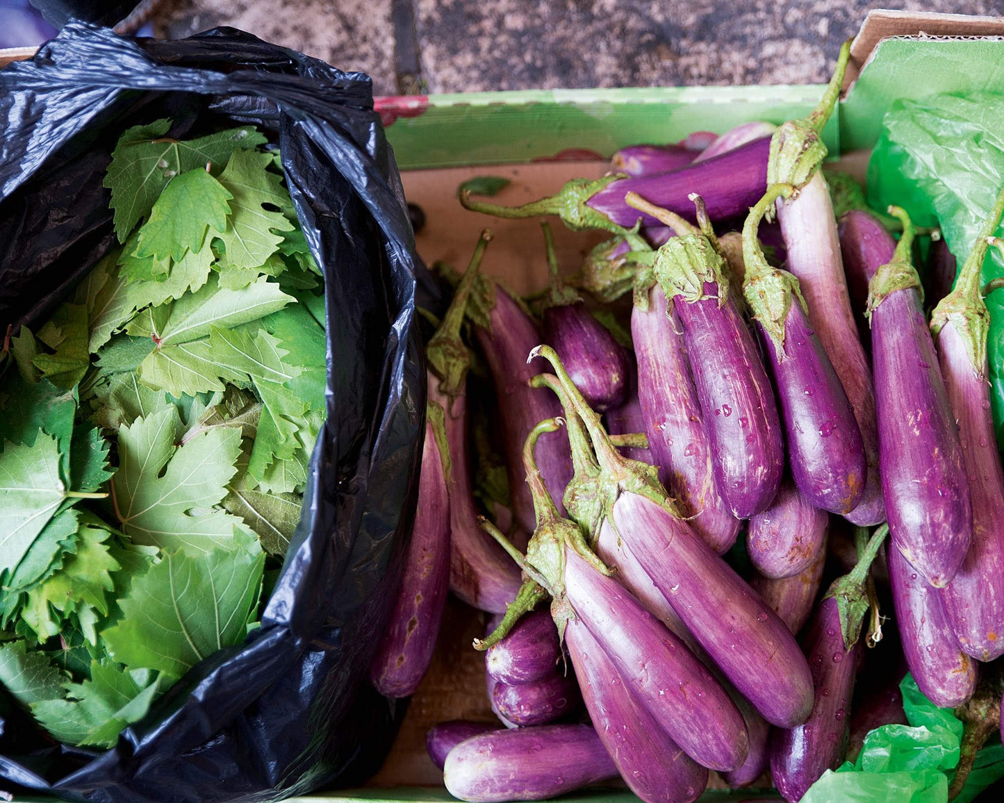 ZAITOUN: Recipes and Stories From The Palestinian Kitchen
