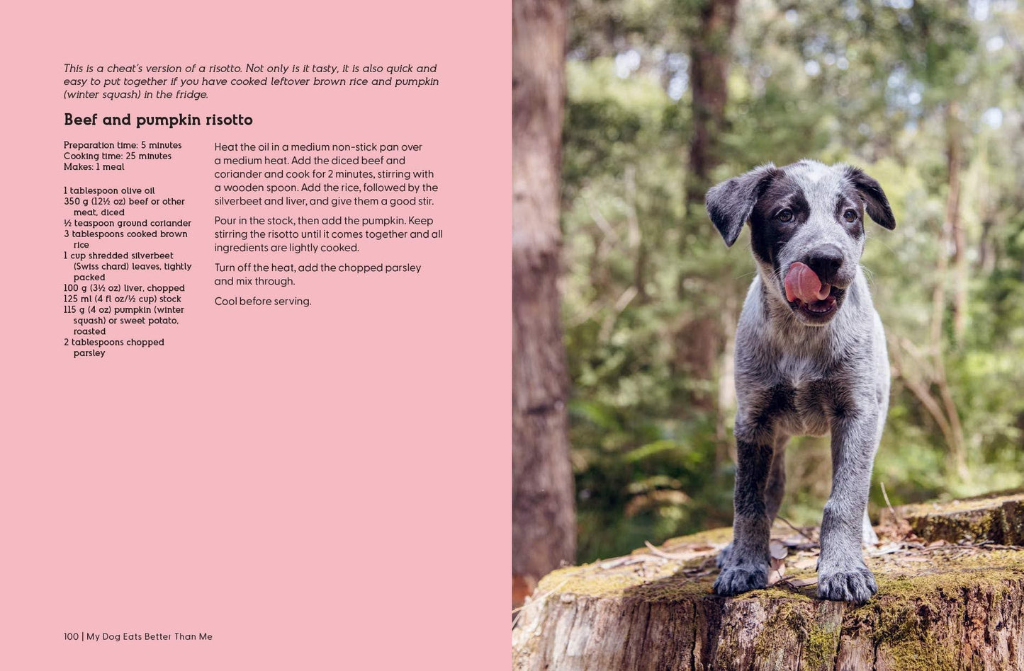 My Dog Eats Better Than Me Recipes Your Dog Will Love