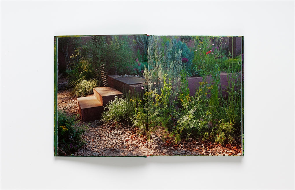 Wild about Weeds - Jack Wallington