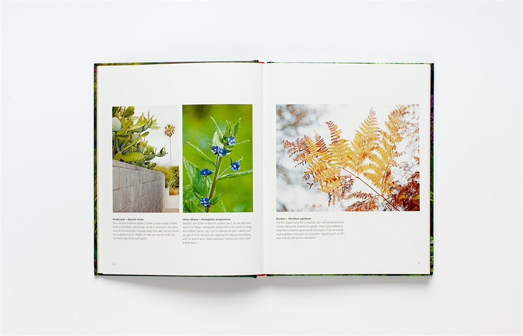 Wild about Weeds - Jack Wallington