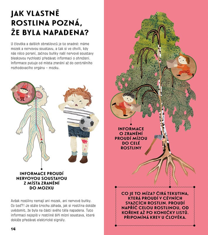 Porozuměj řeči rostlin