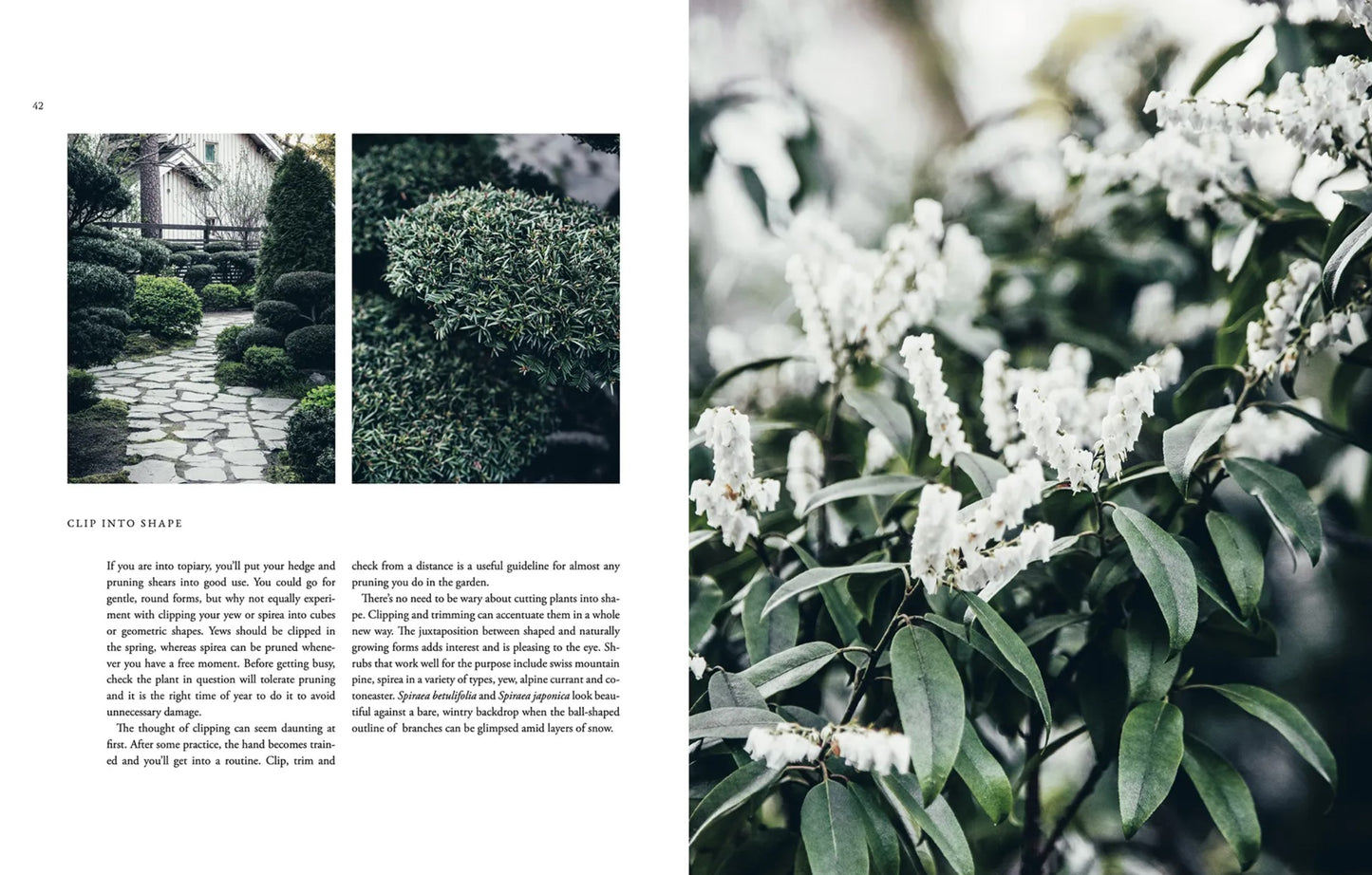 Nordic Garden Design