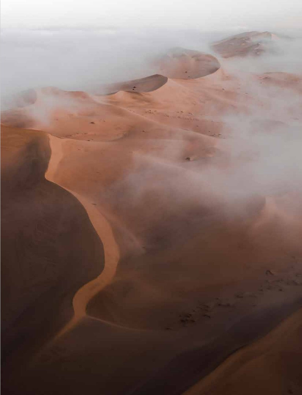 Deserted In Pursuit of Dry Land