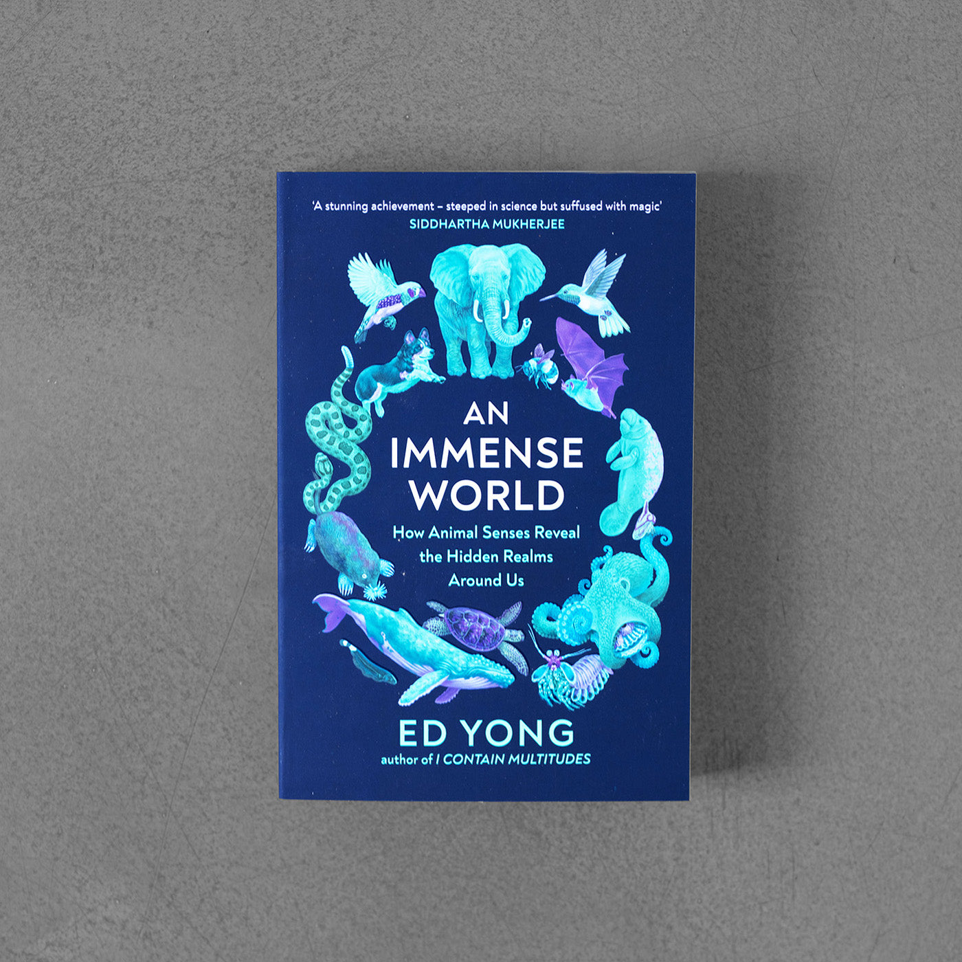 An Immense World: How Animal Senses Reveal the Hidden Realms around Us by  Ed Yong, Paperback