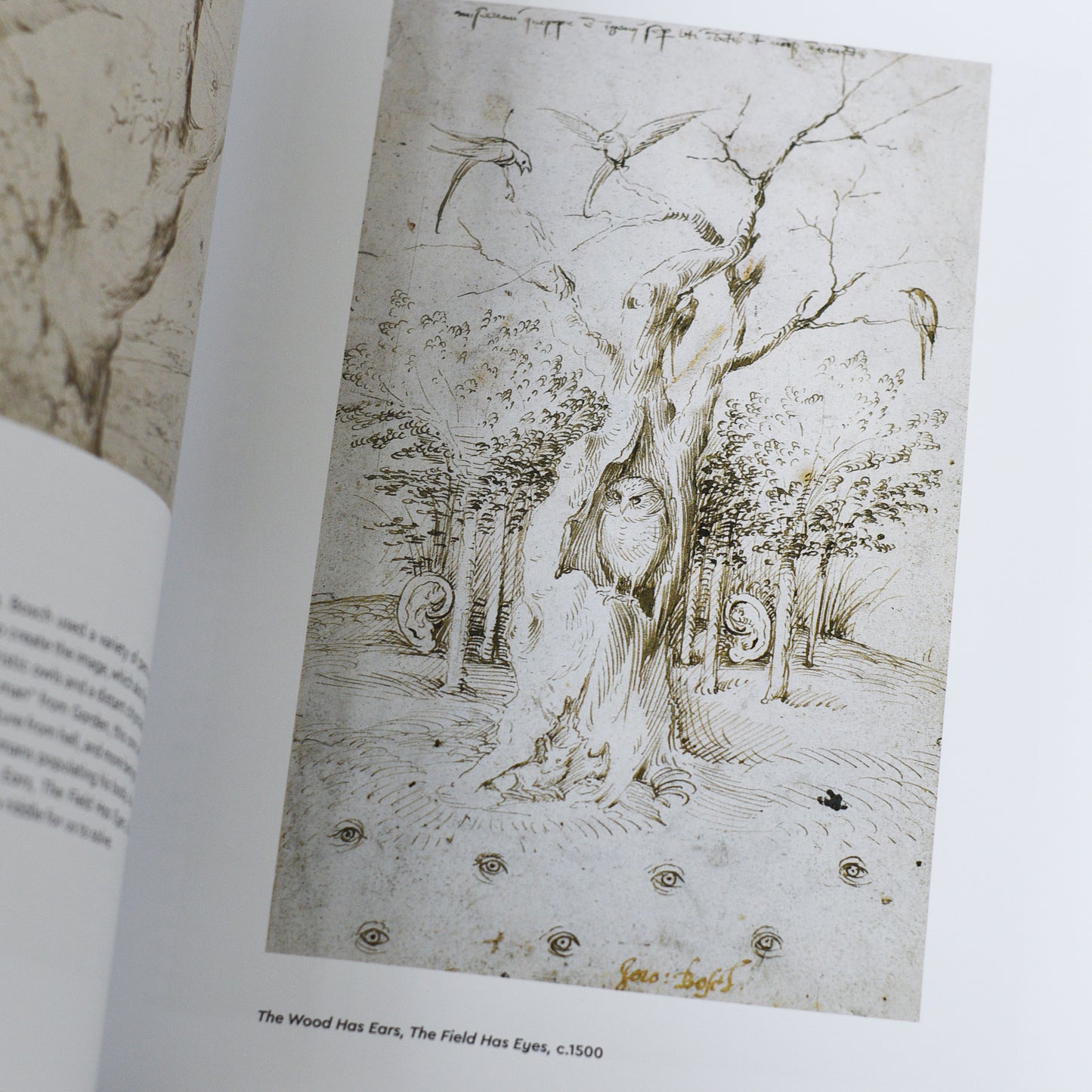Masters of Art: Bosch - Brad Finger