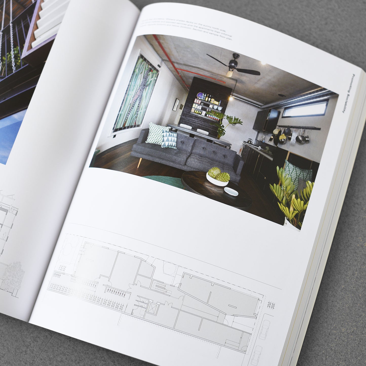 Building Community : New Apartment Architecture