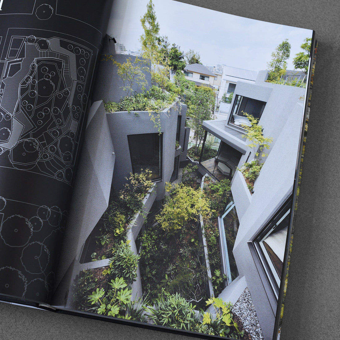 Contemporary Japanese Architecture