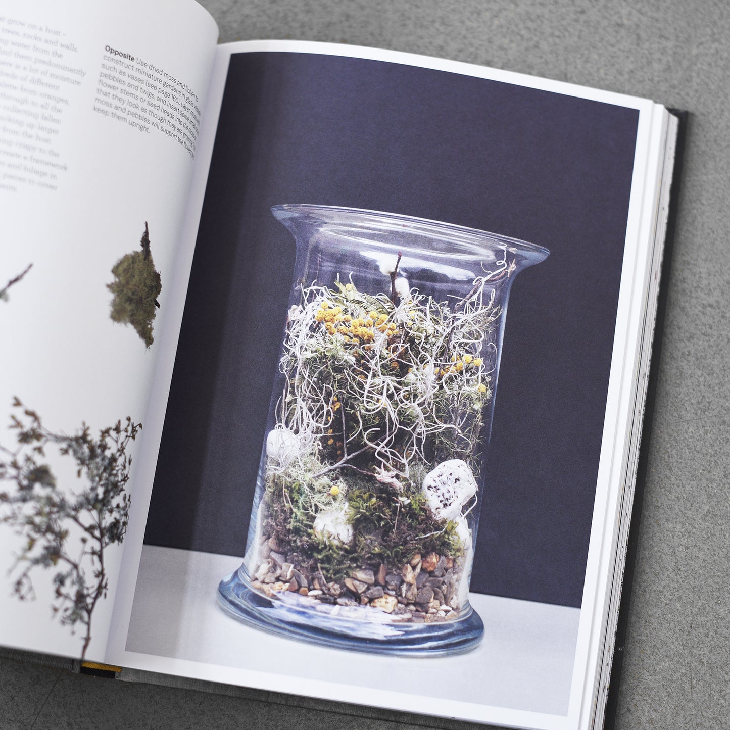 Cut & Dry : The Modern Guide to Dried Flowers from Growing to Styling - Carolyn Dunster