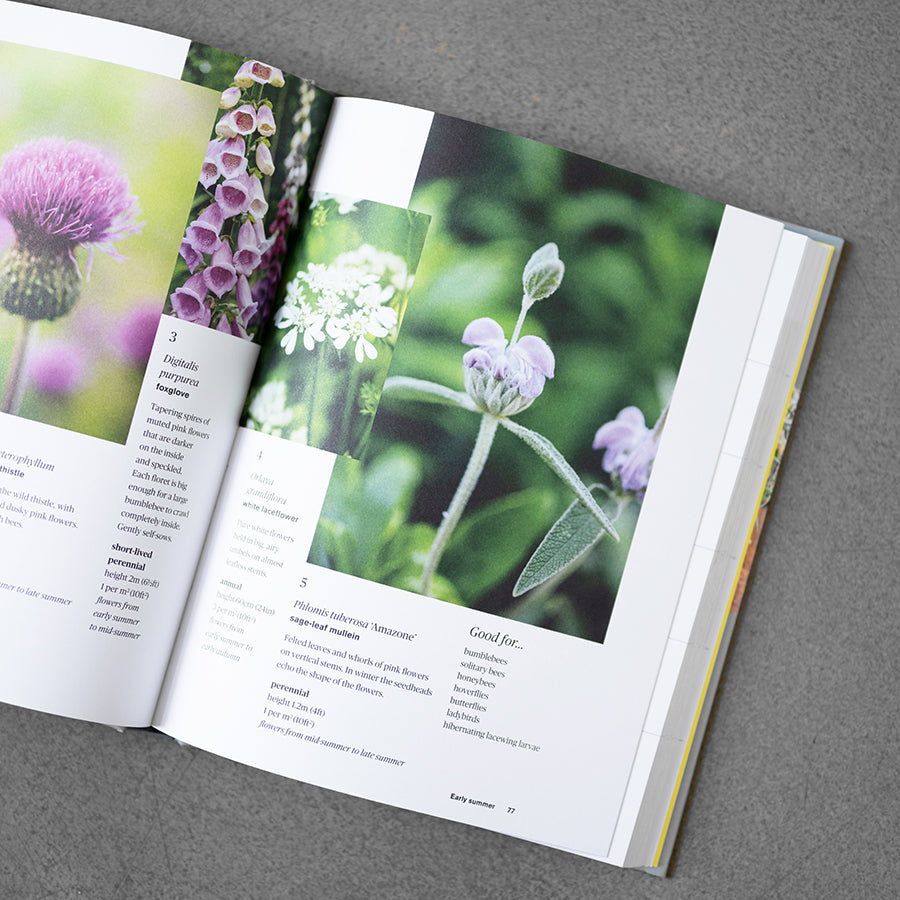 Grow 5 : Simple Seasonal Recipes for Small Outdoor Spaces
