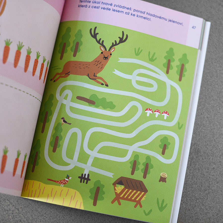 Hrajeme si (zelený sešit)