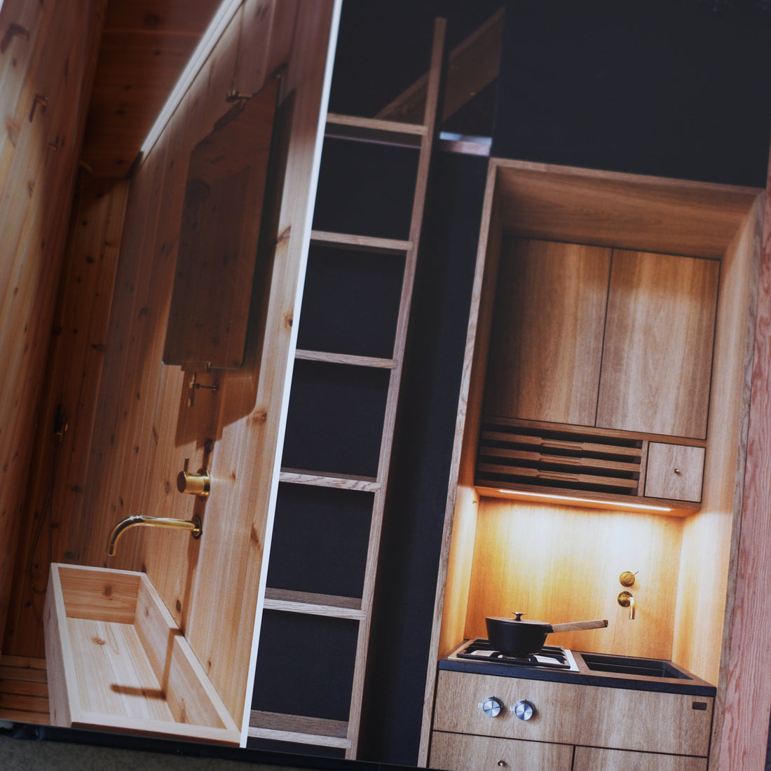 Into the Woods: Retreats and Dream Houses - Philip Jodidio