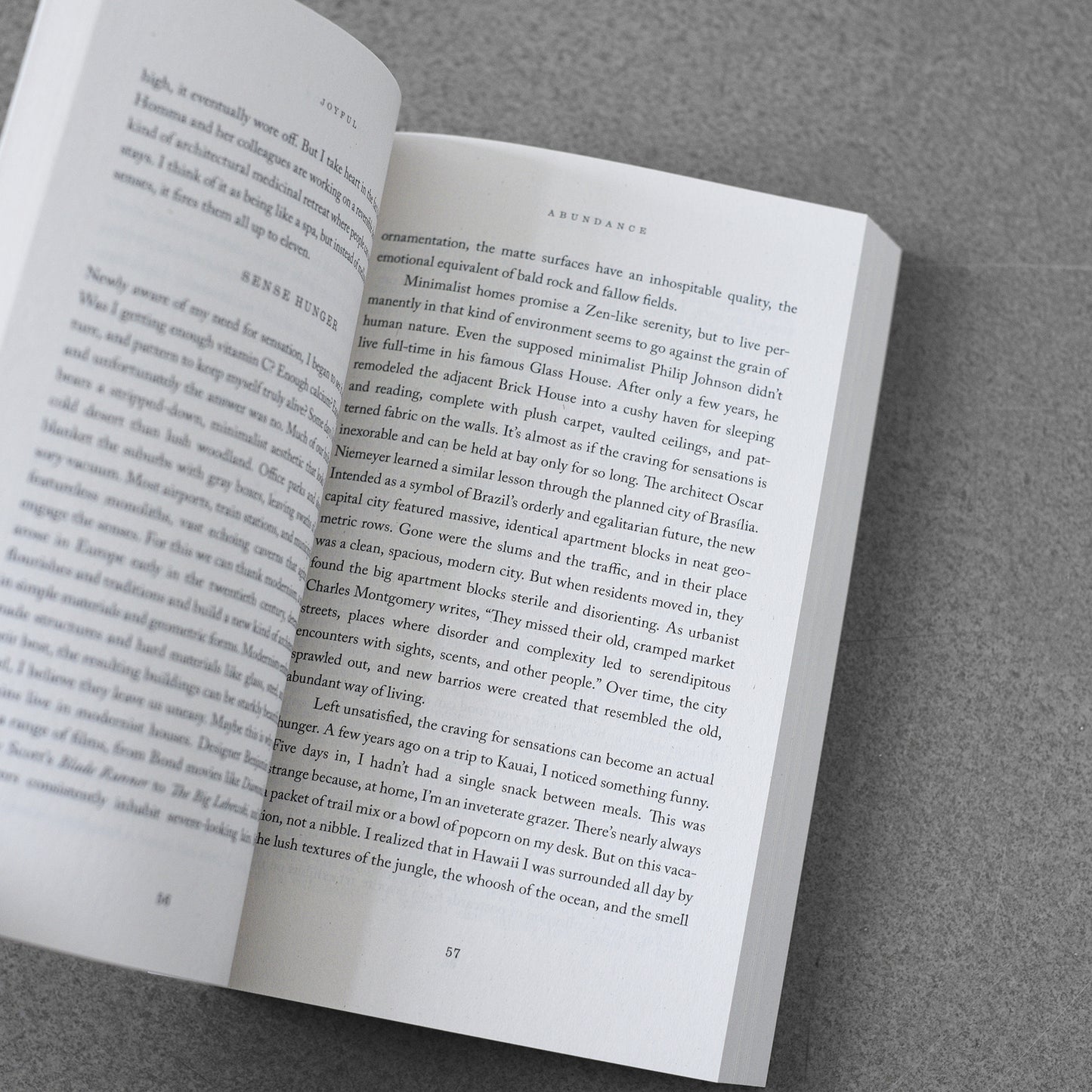 Joyful: The surprising power of ordinary things to create extraordinary happiness
