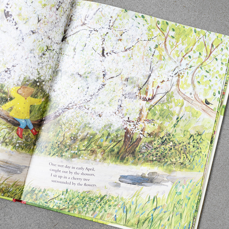 Mouse's Wood: A Year in Nature – Alice Melvin