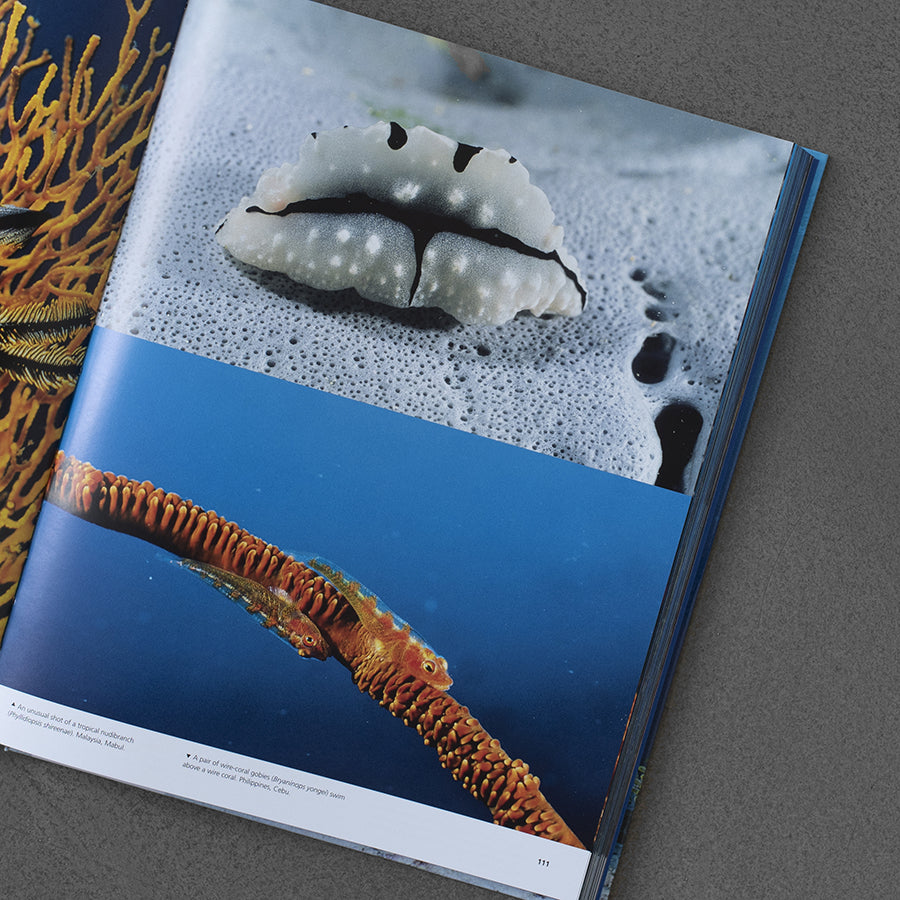 Photographs of Submerged Worlds (Underwater Photography) – Vincenzo Paolillo
