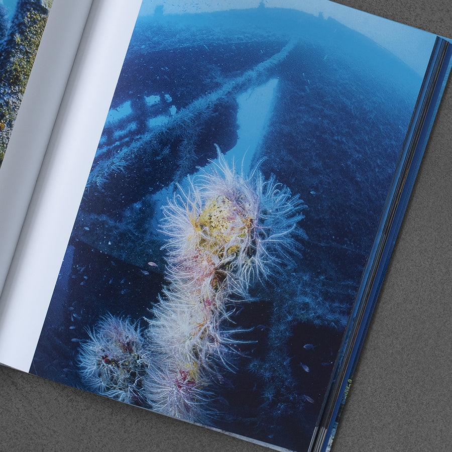 Photographs of Submerged Worlds (Underwater Photography) – Vincenzo Paolillo