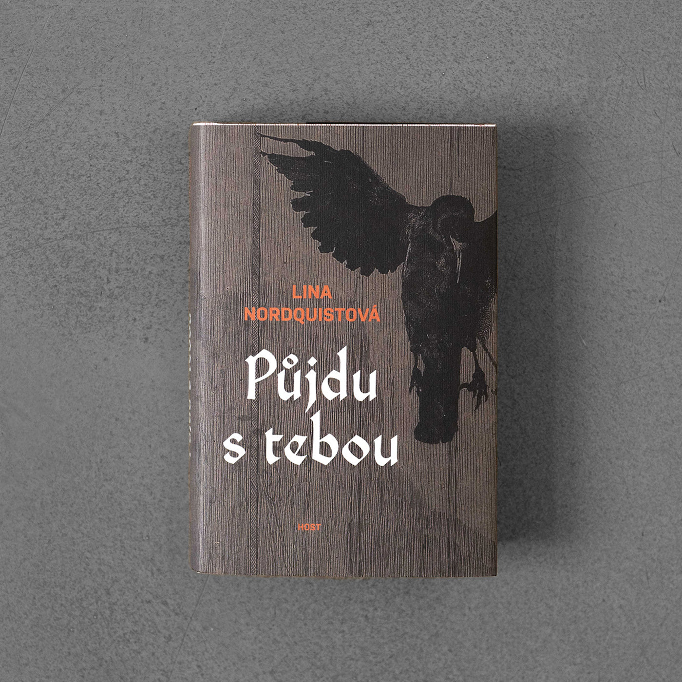 Půjdu s tebou - Lina Nordquist