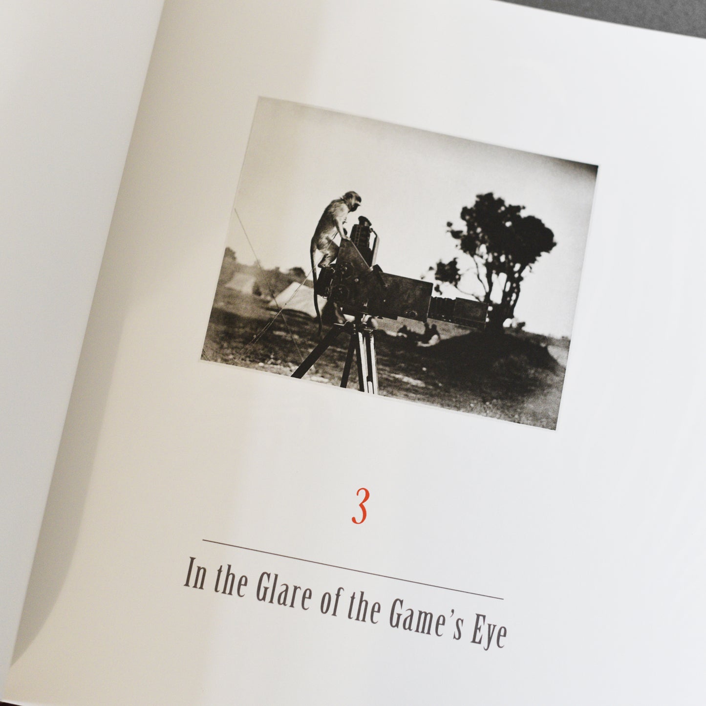 Peter Beard - The End of the Game
