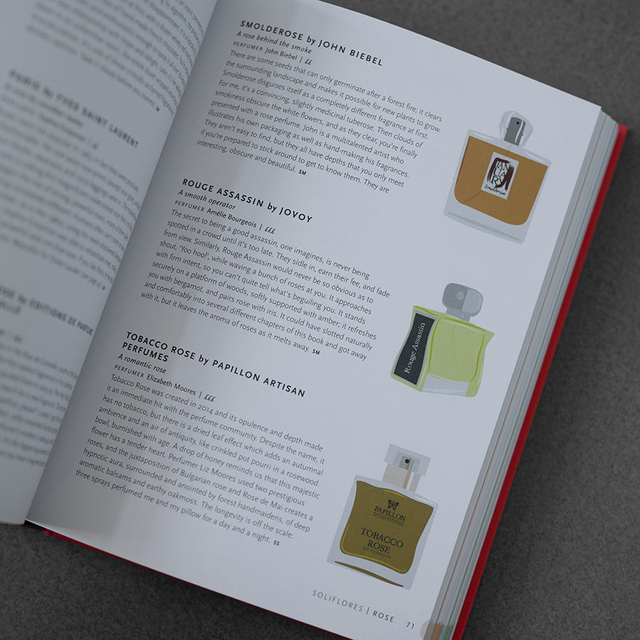 Perfume Companion: The Definitive Guide to Choosing Your Next Scent