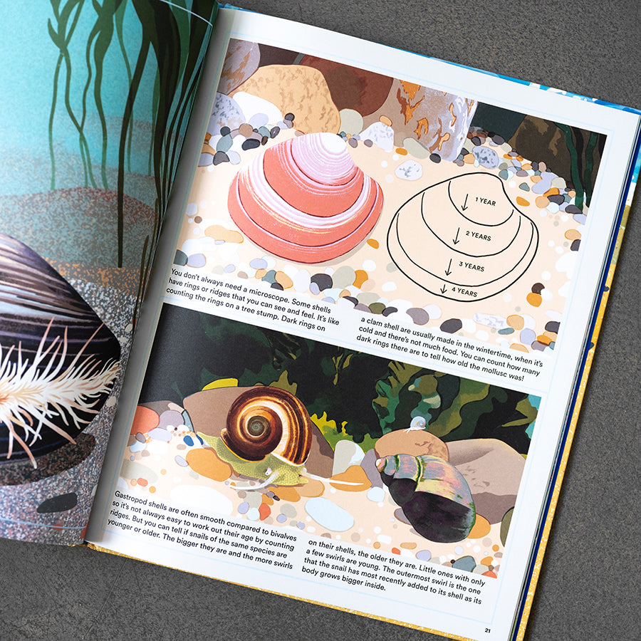 What A Shell Can Tell – Helen Scales