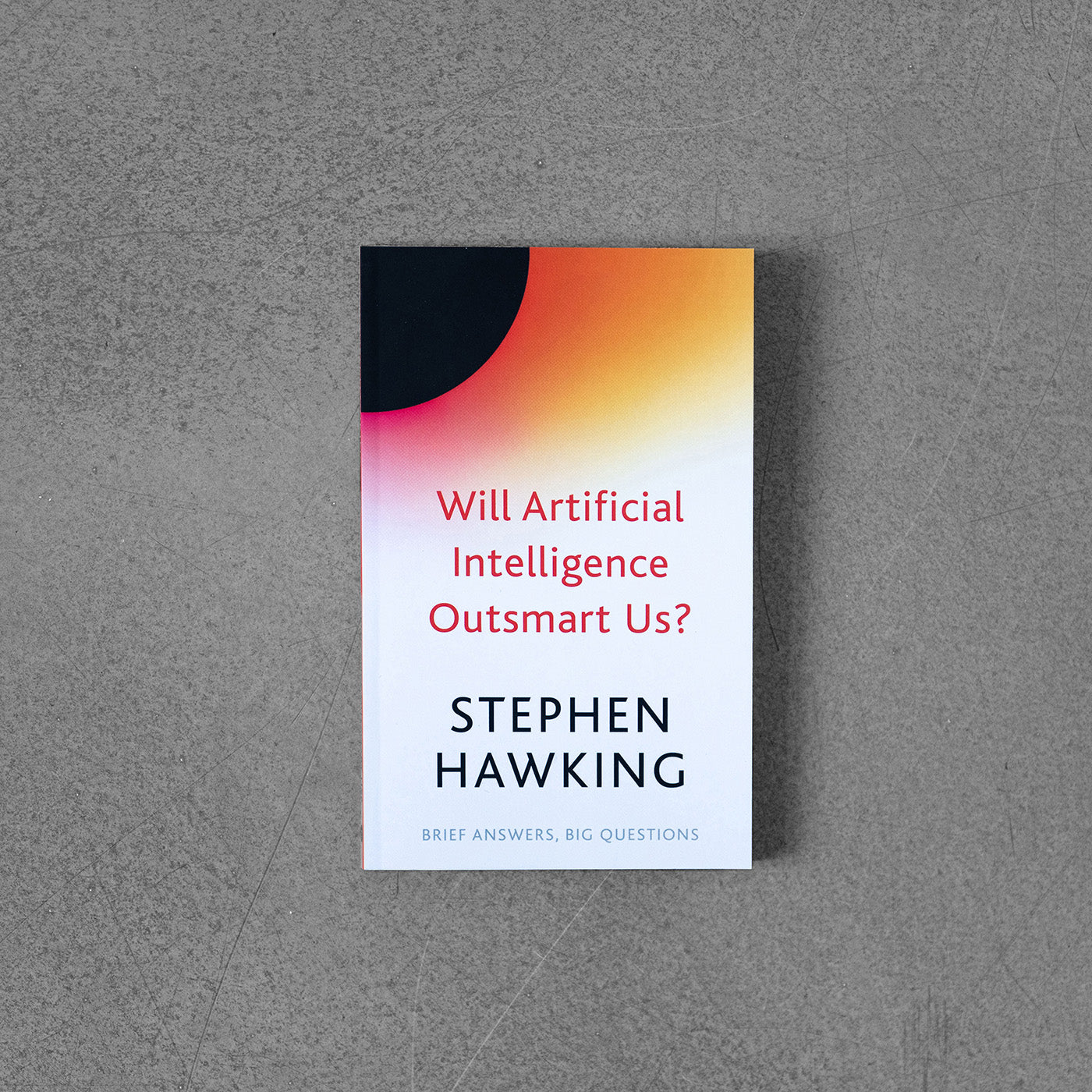 Will Artificial Intelligence Outsmart Us? - Stephen Hawking