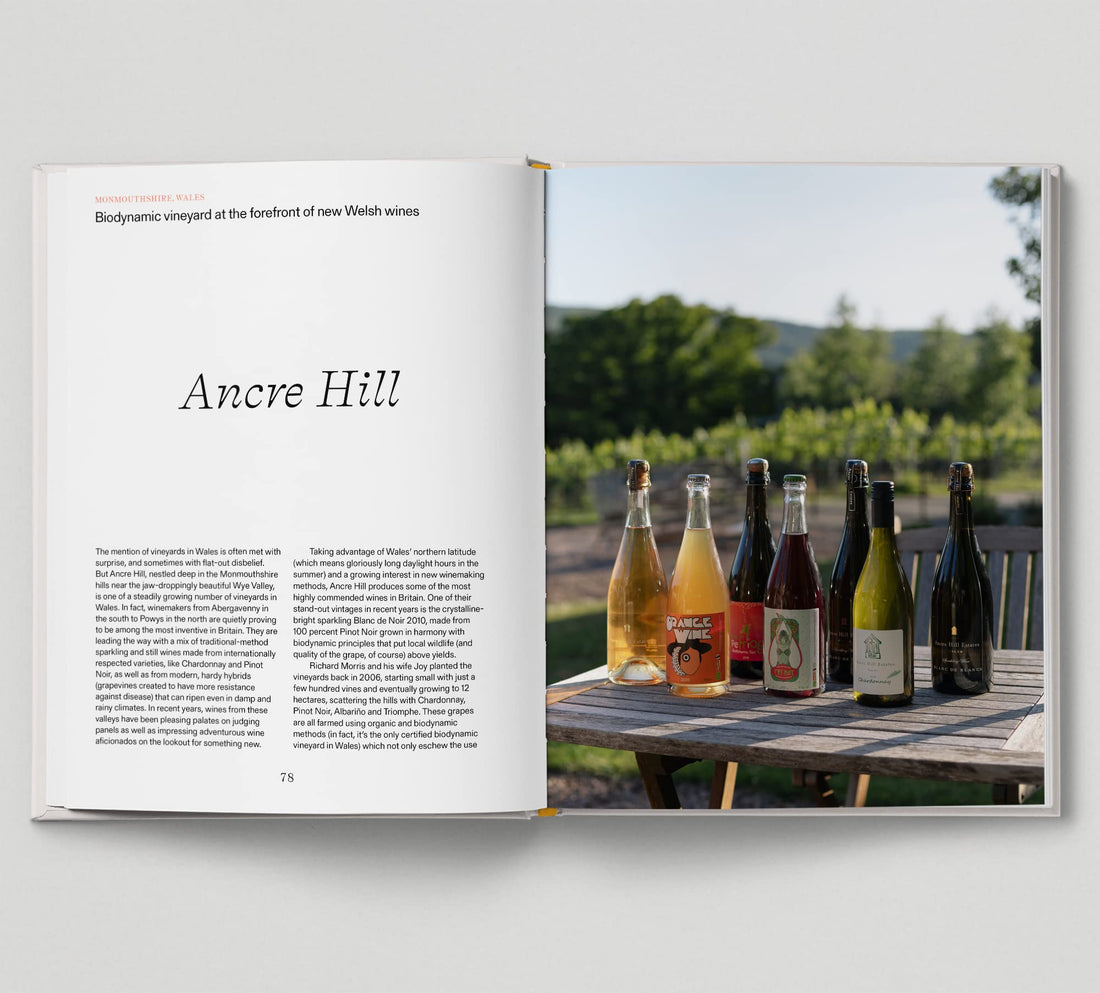 New British Wine