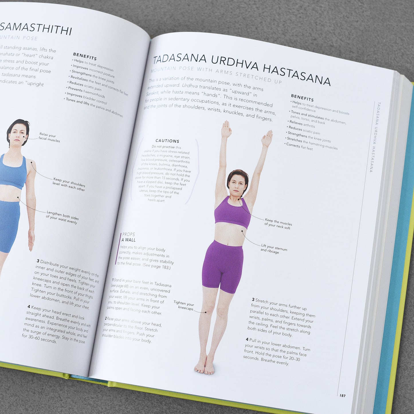 B.K.S. Iyengar Yoga The Path to Holistic Health