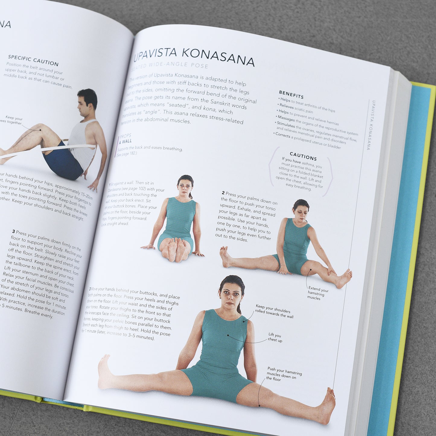 B.K.S. Iyengar Yoga The Path to Holistic Health