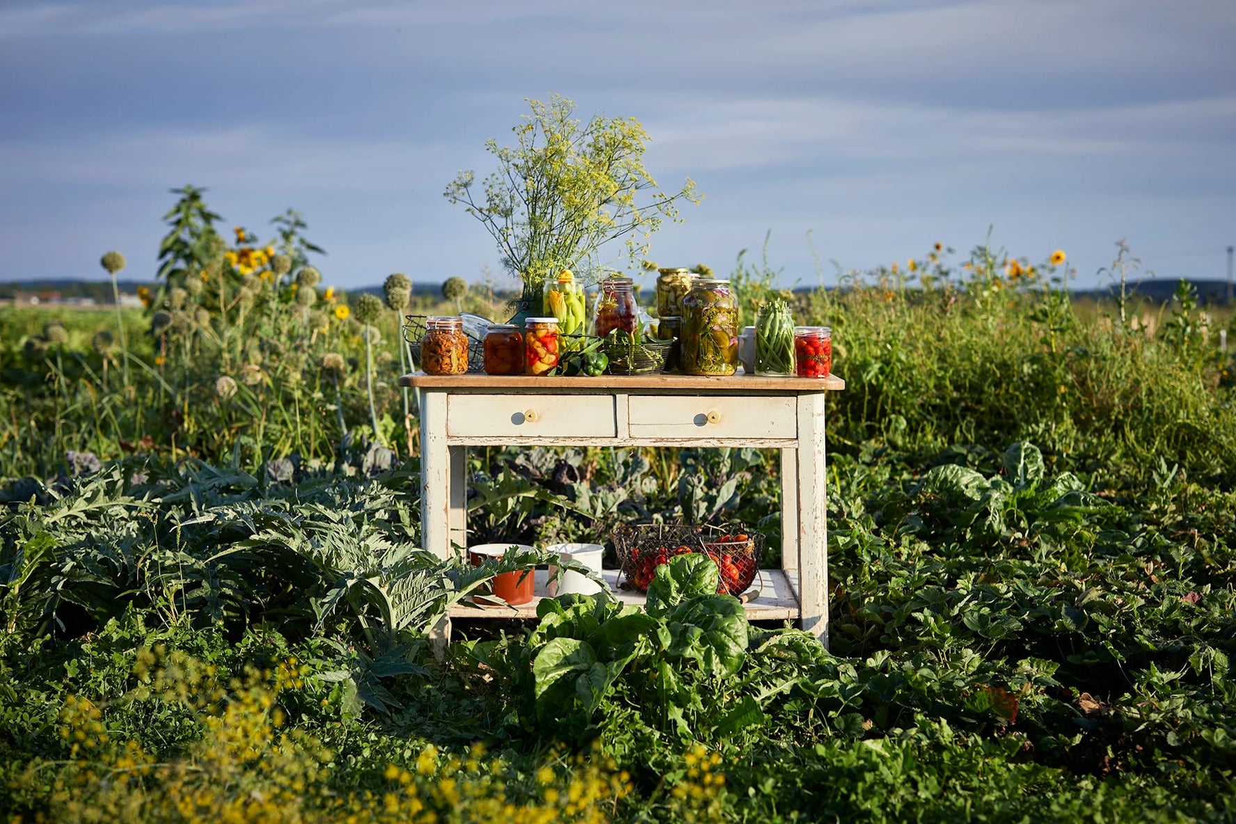 God is a Pickle - Šárka Otevřel Camrdová, Marek Bartoš