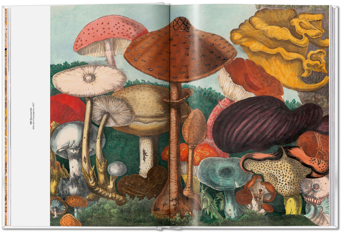 Gourmands Mushroom. A Collection of Stories & Recipes