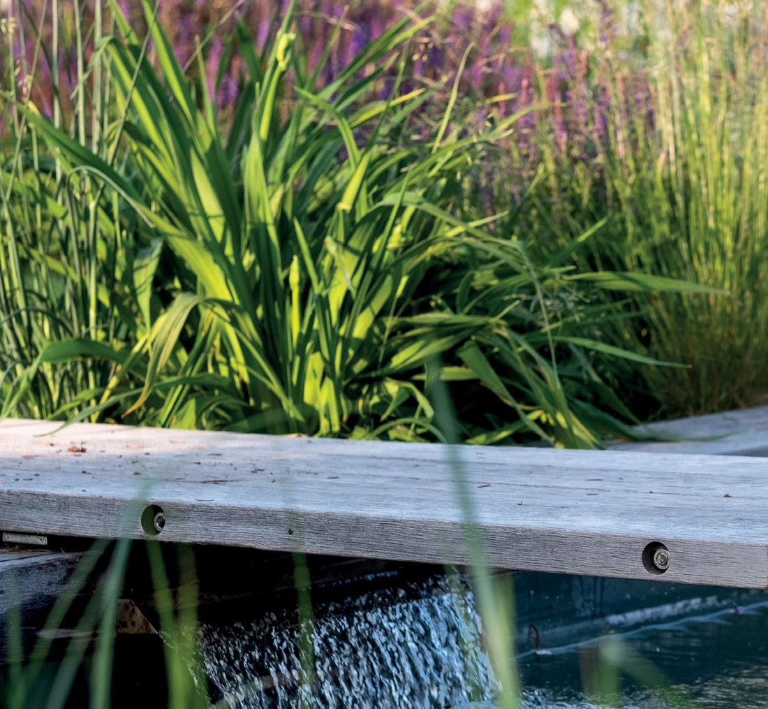 Proč milujeme zahrady - Ferdinand Leffler