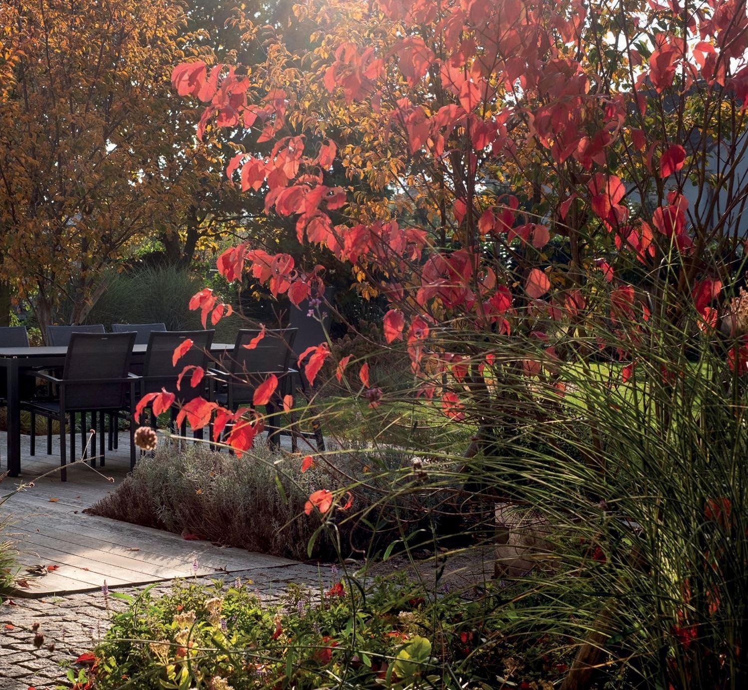 Proč milujeme zahrady - Ferdinand Leffler