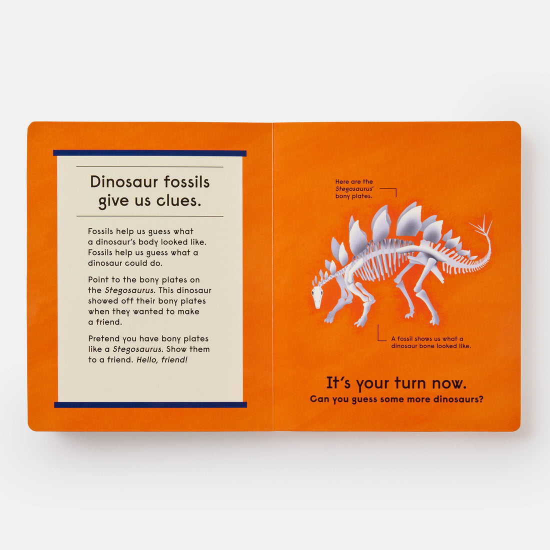 Who's That Dinosaur?