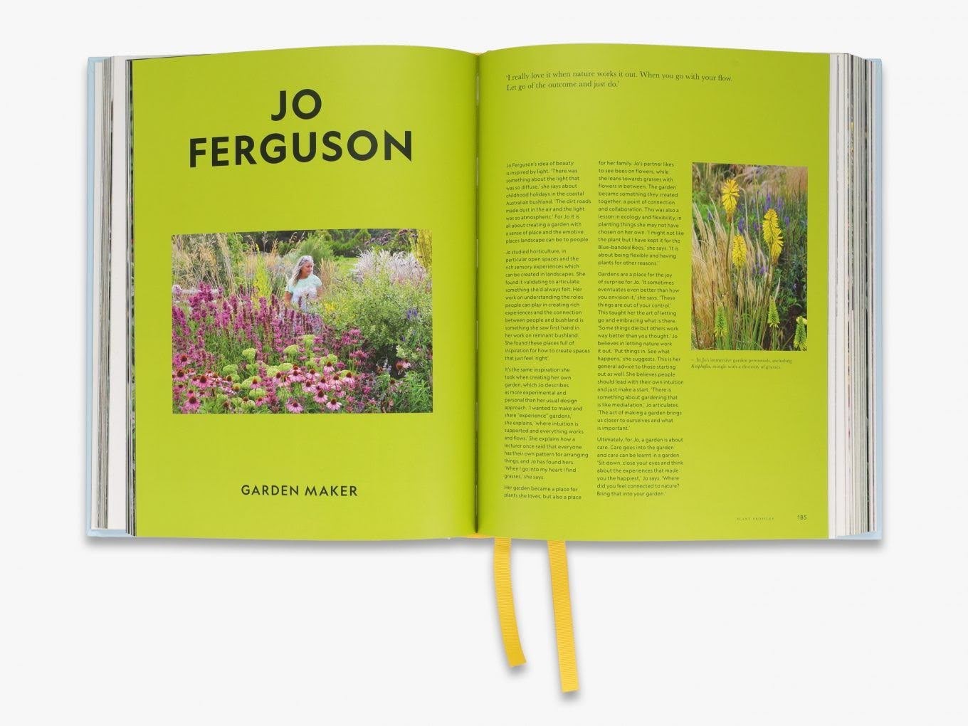 Super Bloom: A field Guide to Flowers for Every Gardener - Jac Semmler