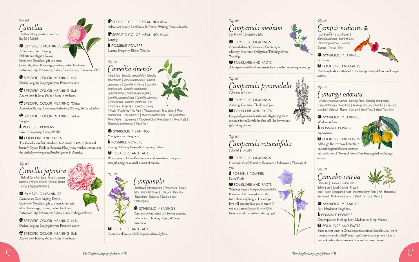 Complete Language of Flowers, A Definitive and Illustrated History