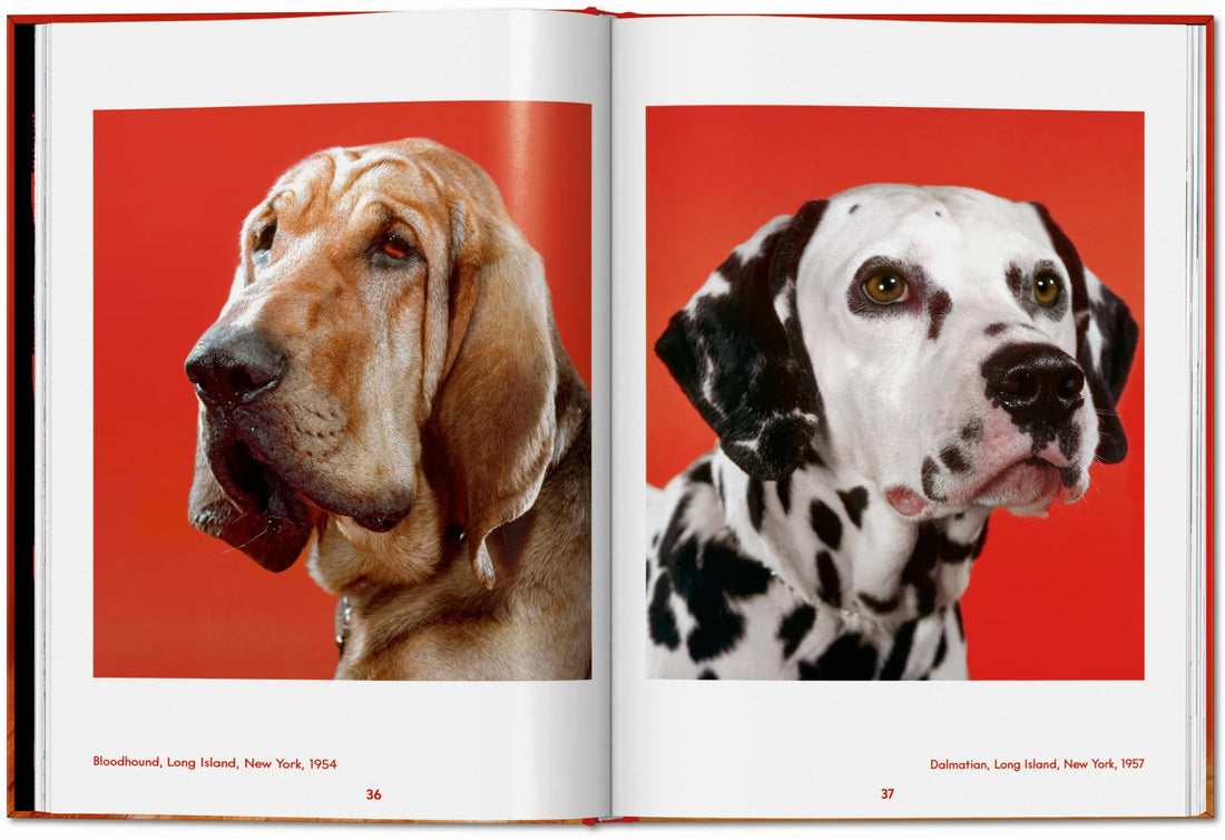 Walter Chandoha. Dogs. Photographs 1941–1991