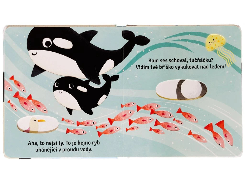 Kam ses schoval, tučňáčku?