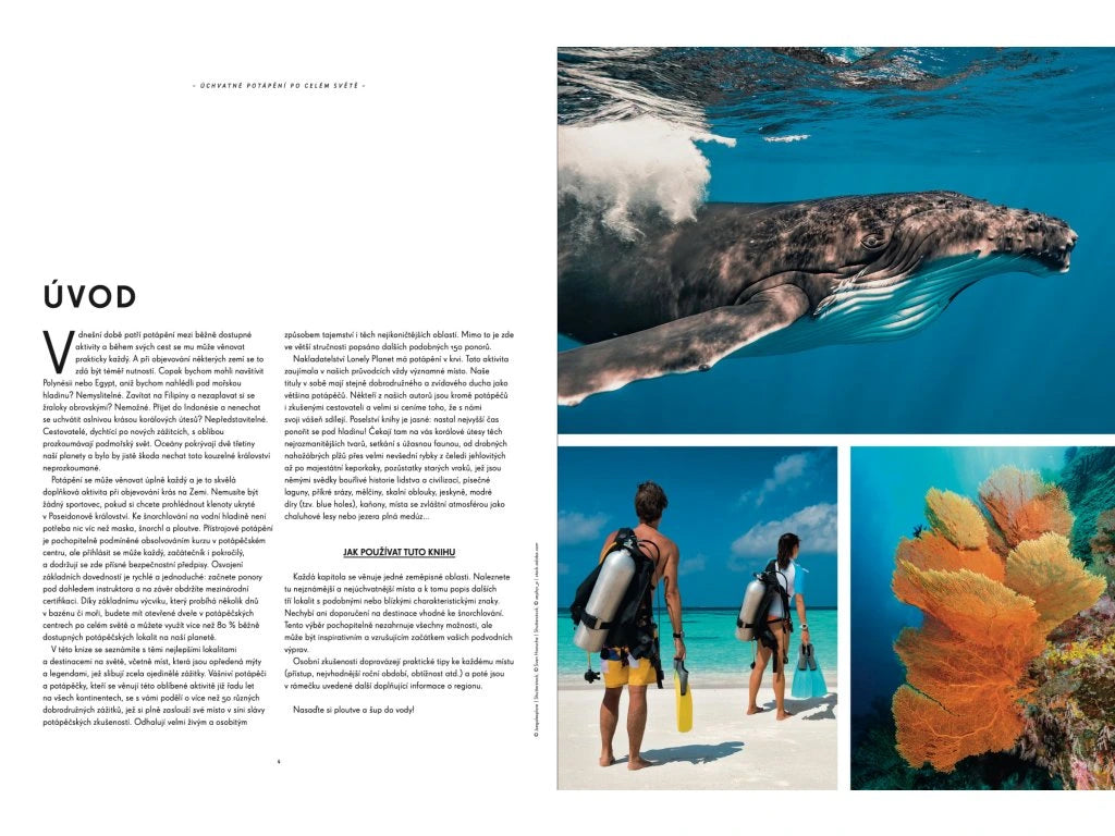 Úchvatné potápění po celém světě