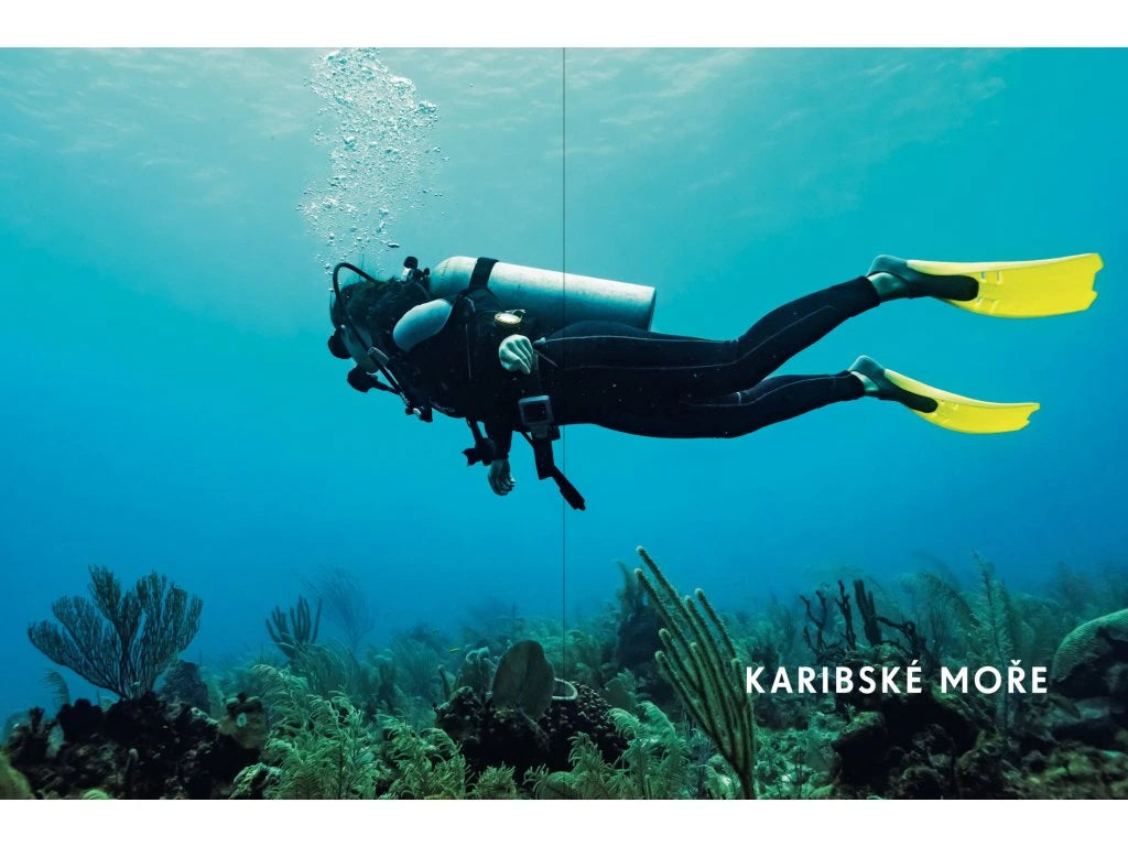 Úchvatné potápění po celém světě
