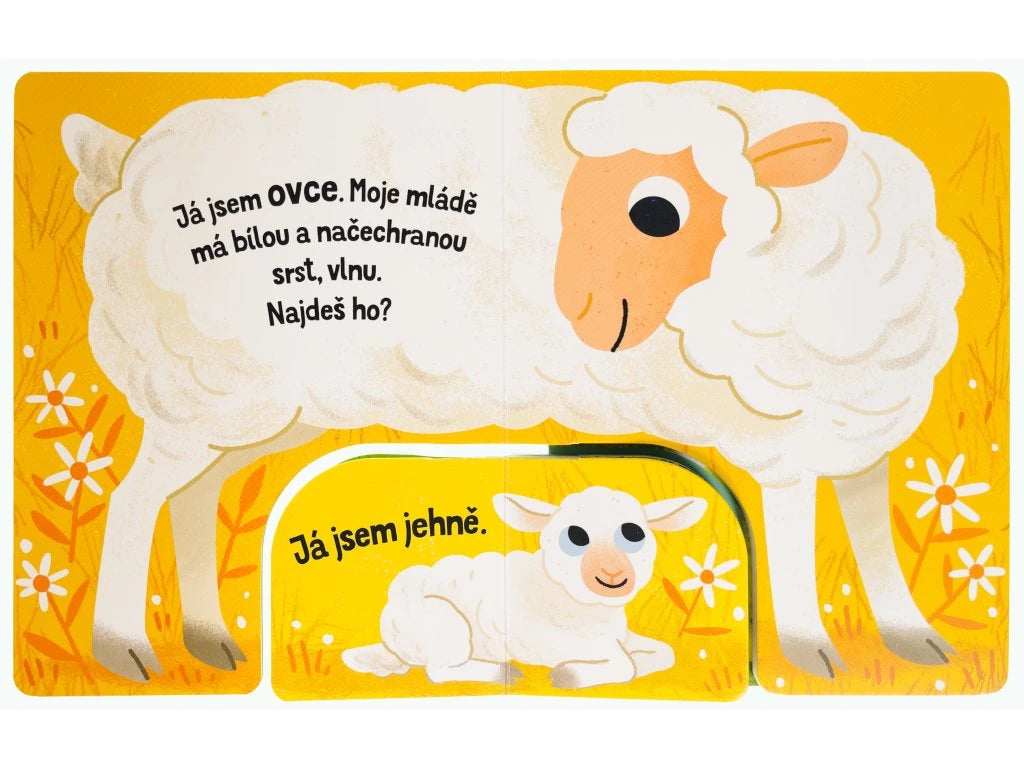 Najdi mládě: Farma