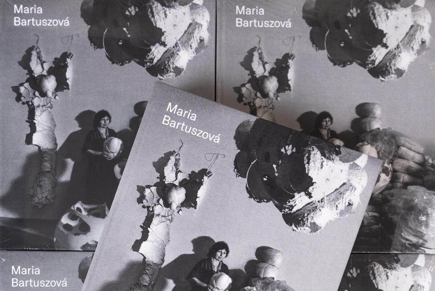 Maria Bartuszová - Catalogue Rainsonné