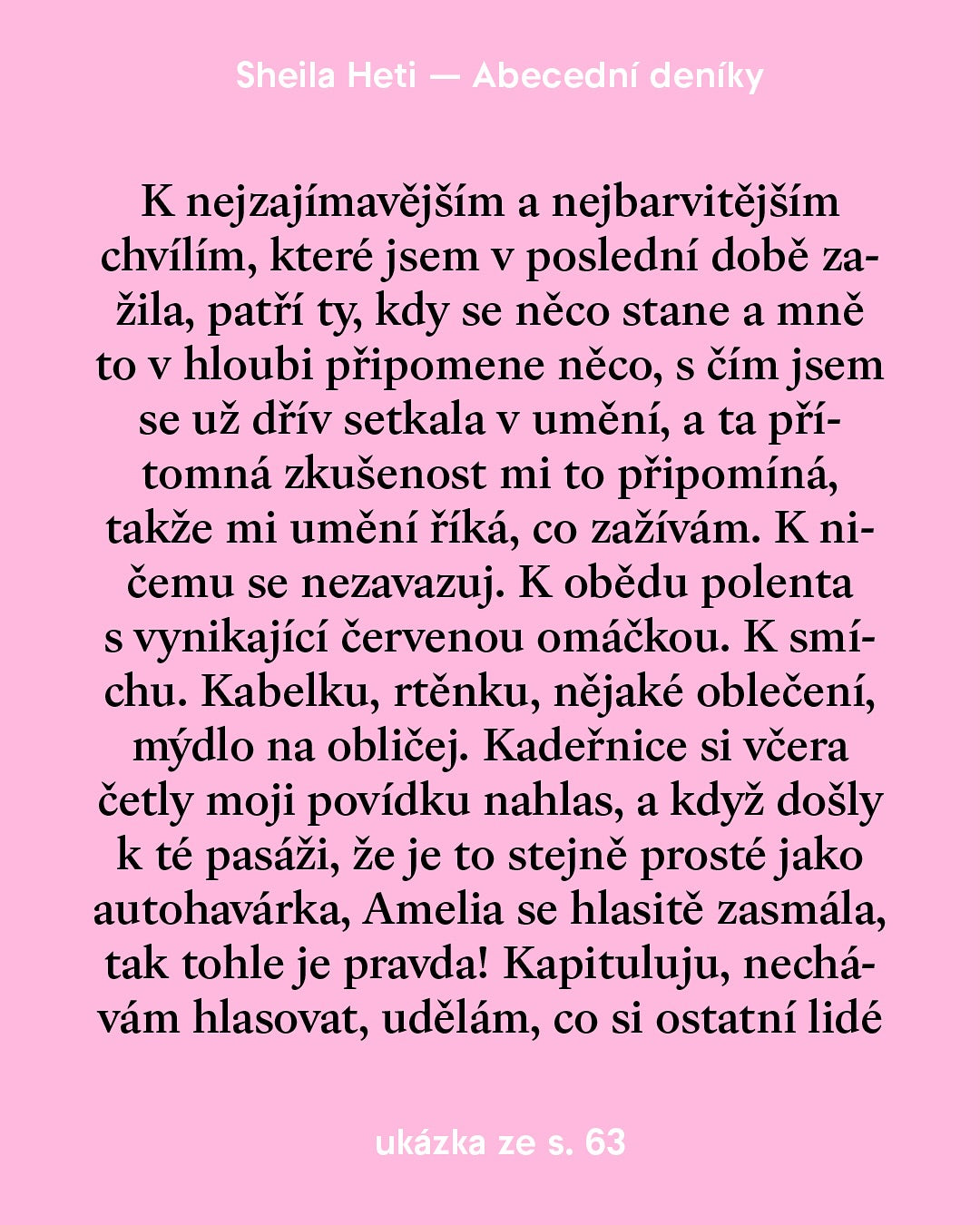 Abecední deníky -Sheila Heti