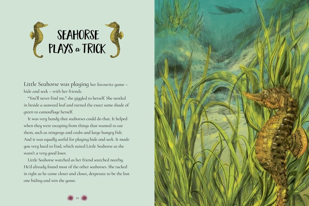 Tales from the Ocean
