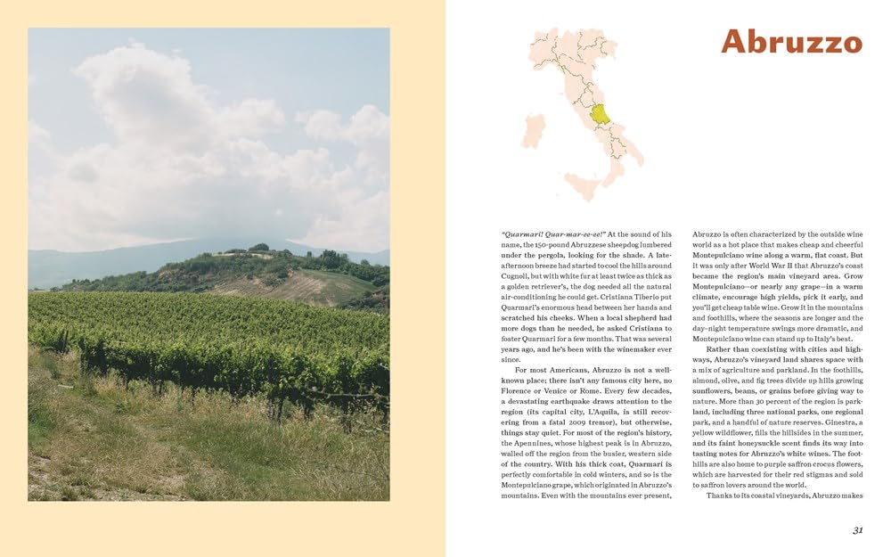 Italian Wine: The History, Regions, and Grapes of an Iconic Wine Countryo