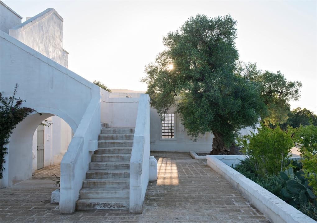 Mediterranean Living