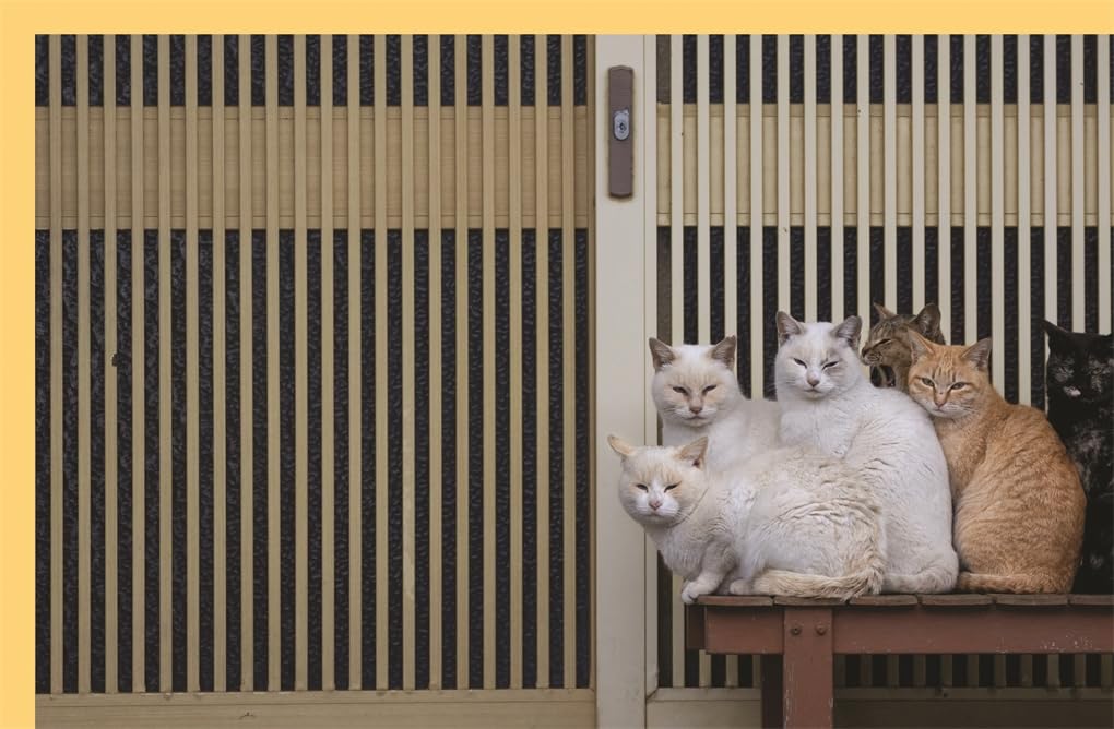 Neko - Cats of Japan